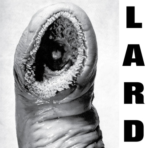 The Power Of Lard