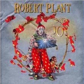 Band Of Joy