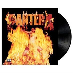 Reinventing The Steel (Vinyl)