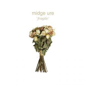 Fragile (Vinyl) (180gram)