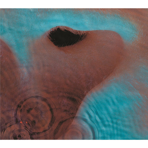 Meddle (Vinyl) (2016 Reissue)