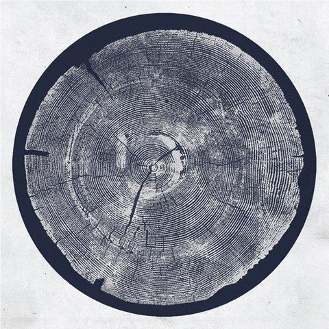 R TROPIC OF ANODYNE (vinyl)
