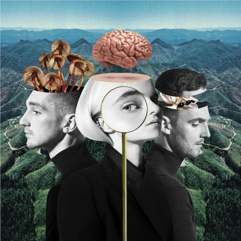 What Is Love? (Limited Deluxe Edition)