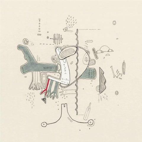 Tiny Changes: A celebration of Frightened Rabbit's The Midnight Organ Fight