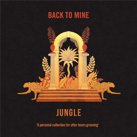 Back To Mine (Vinyl)