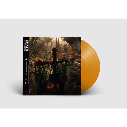 Not Everything Saved Will Be Lost: Part 2 (Deluxe Edition Orange Vinyl)