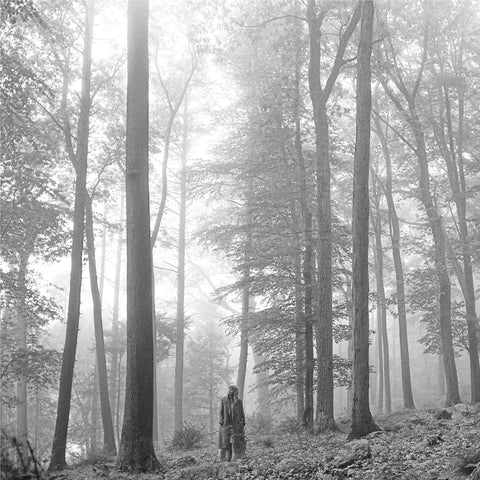 folklore (In The Trees Edition)