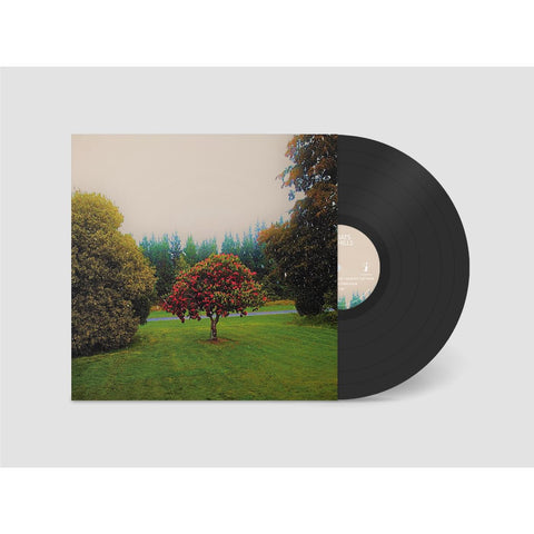 Foothills (Vinyl)