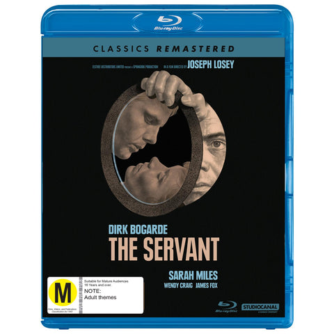 Servant, The