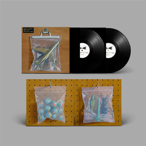 Ants From Up There (Vinyl)