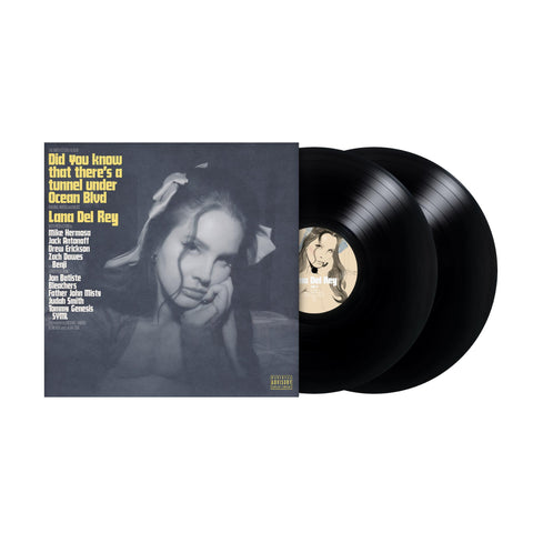 Did You Know That There's A Tunnel Under Ocean Blvd (Vinyl)