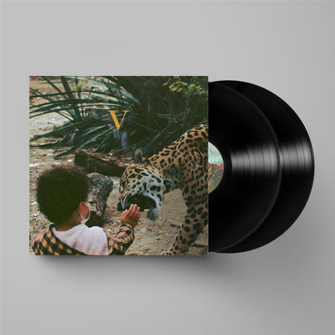 V (Vinyl)