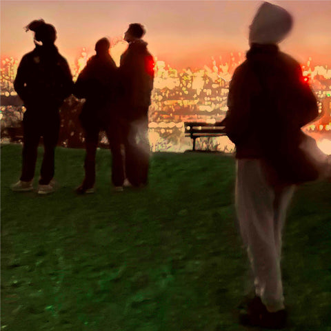 Secret Life (Vinyl)