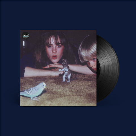 Masterpiece (Vinyl)