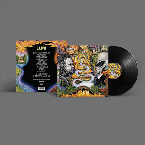 L.A.B VI (vinyl)