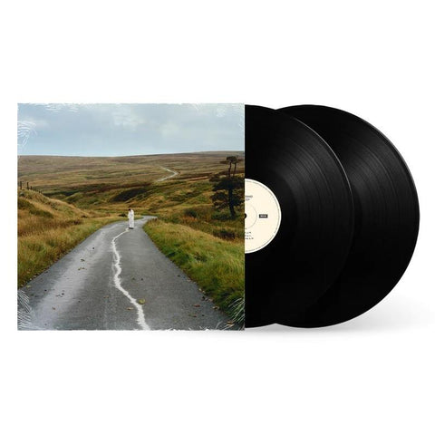 The Loop (Vinyl)