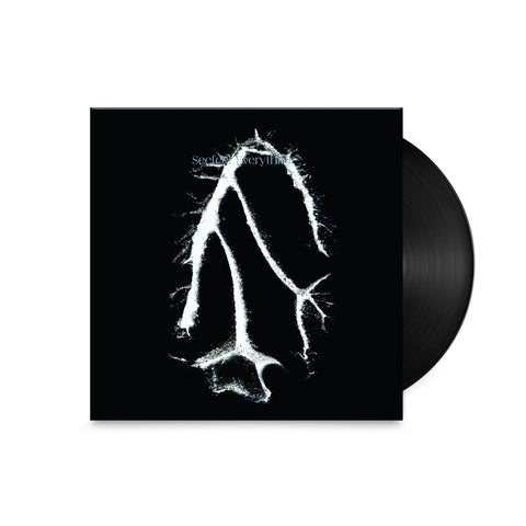 Everything Squared (Vinyl)