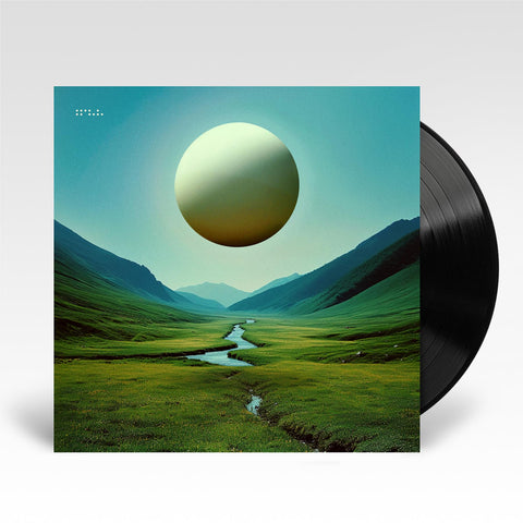 Infinite Health (Vinyl)