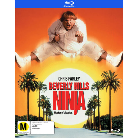Beverly Hills Ninja