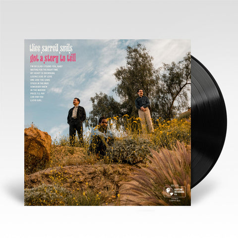 Got A Story To Tell (Vinyl)