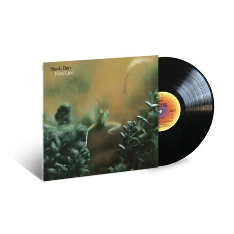 Katy Lied  (Vinyl)
