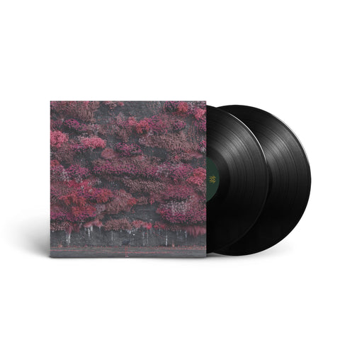 Even In Arcadia (Vinyl)