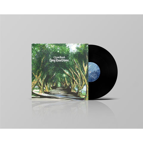 Long Road Home (Vinyl)