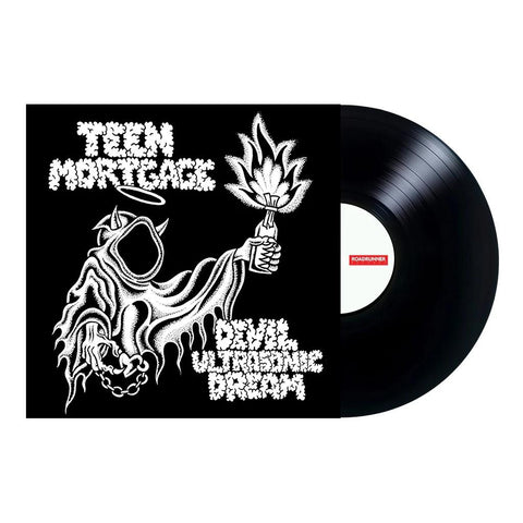 Devil Ultrasonic Dream (Vinyl)
