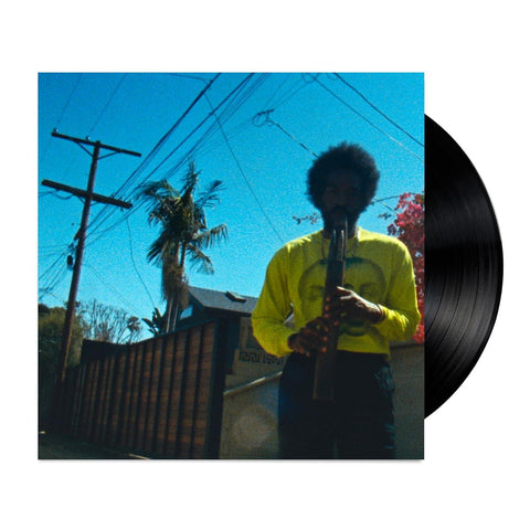 Moving Day  (Vinyl)