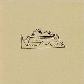 Veneer (Vinyl)