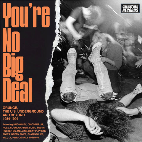 You're No Big Deal - Grunge, The U.S. Underground And Beyond 1984-1994 (4CD Clamshell Box)