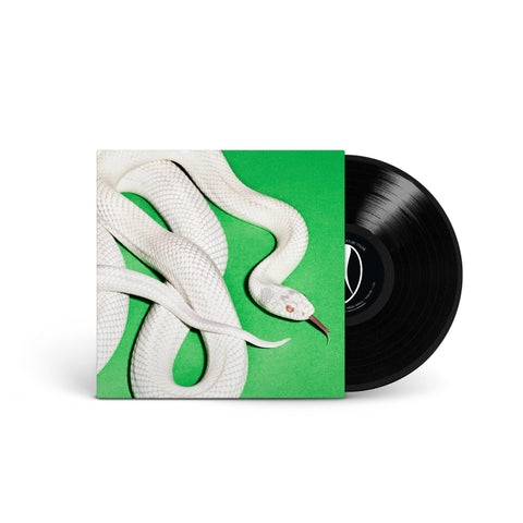 Private Music (Vinyl)