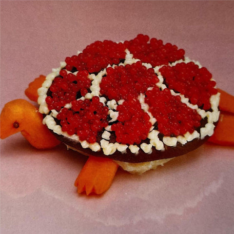 Turtle Rock (Vinyl)