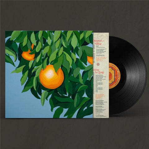 For The First Time Again (Vinyl)