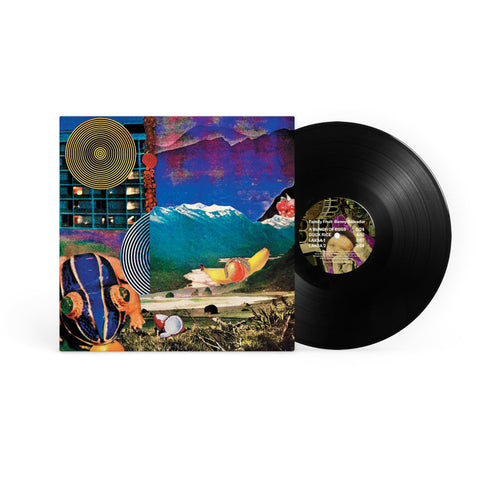 Family Fruit (Vinyl)