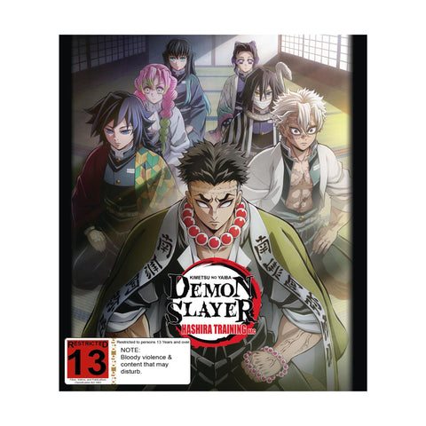 Demon Slayer: Kimetsu No Yaiba: Hashira Training Arc
