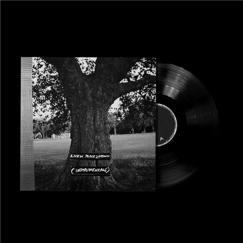 A New Place 2 Drown (Instrumentals) (Vinyl)