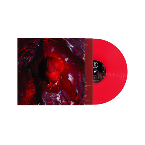 Not Here Not Gone (Red Vinyl)