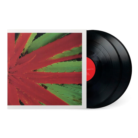This Afternoons Malady (vinyl)