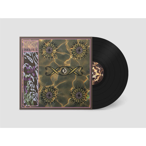 Phase 5 (Vinyl)