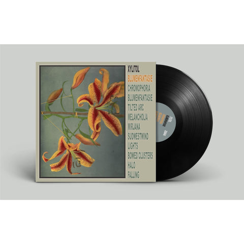 Blumenfantasie (Vinyl)