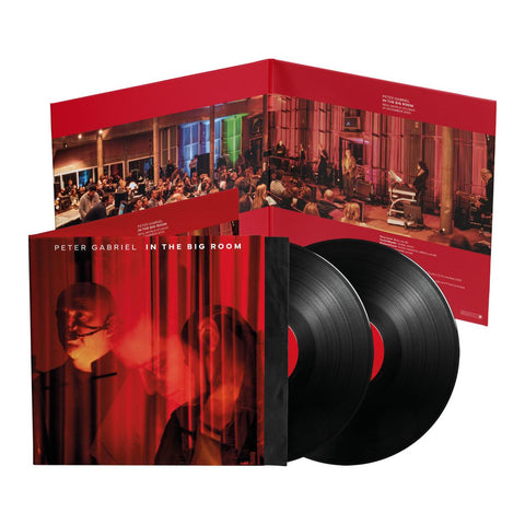 In The Big Room (Vinyl)
