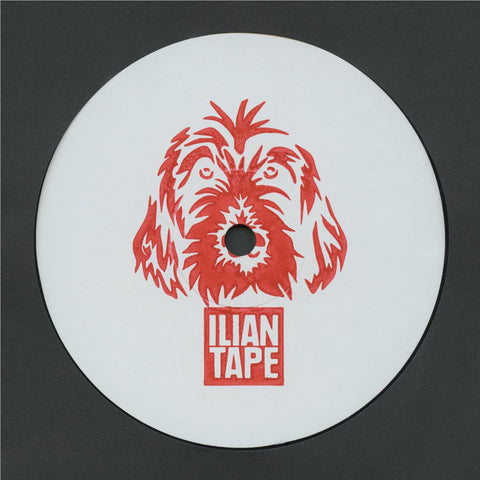 Bass Is The Space  (12' Vvinyl)