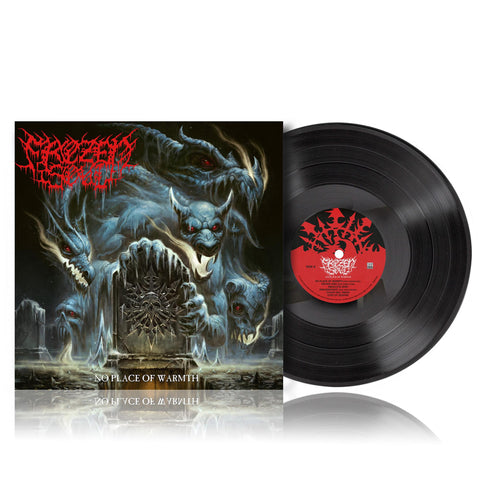 No Place Of Warmth (Vinyl)