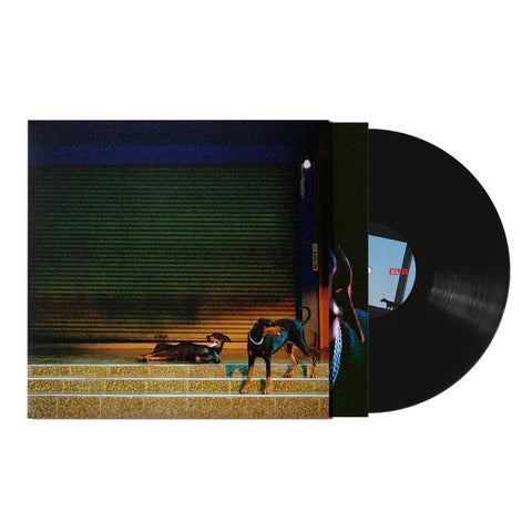 Pure Devotion (Vinyl)
