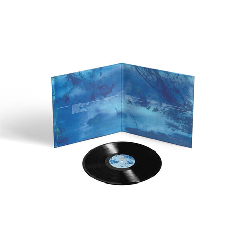 Blue Morpho (Vinyl)