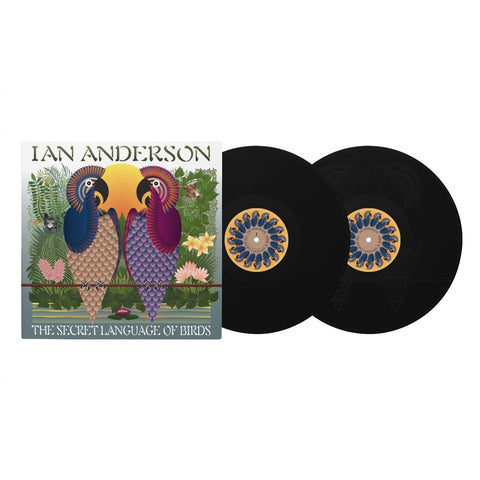 The Secret Language Of Birds (Vinyl)
