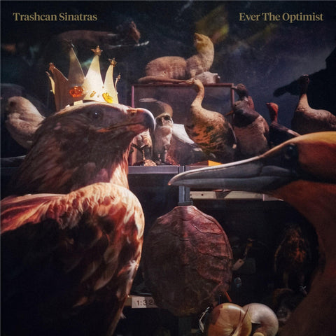 Ever The Optmist  (Vinyl)