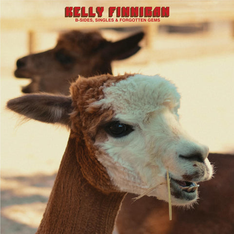 B-Sides, Singles & Forgotten Gems (Vinyl)