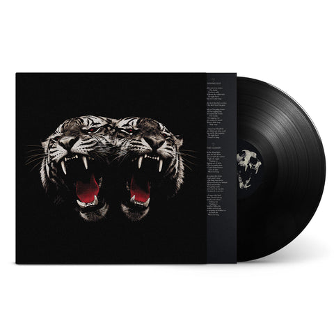Dead Company (Vinyl)